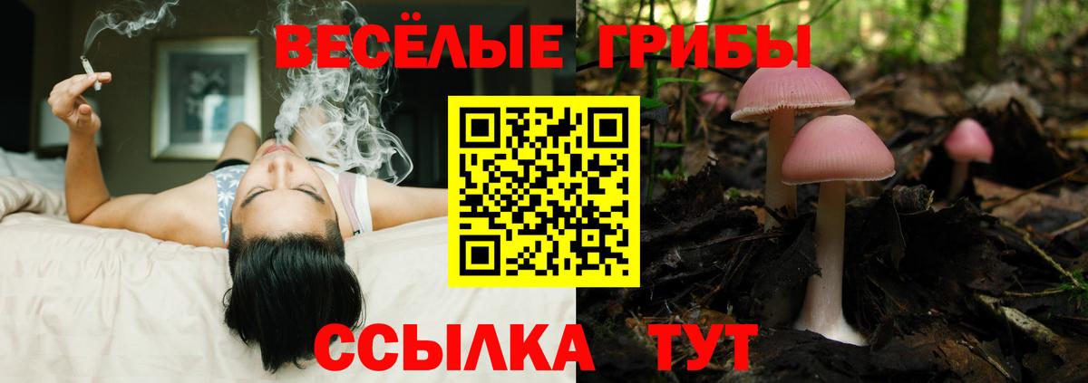 Галлюциногенные грибы GOLDEN TEACHER Бахчисарай